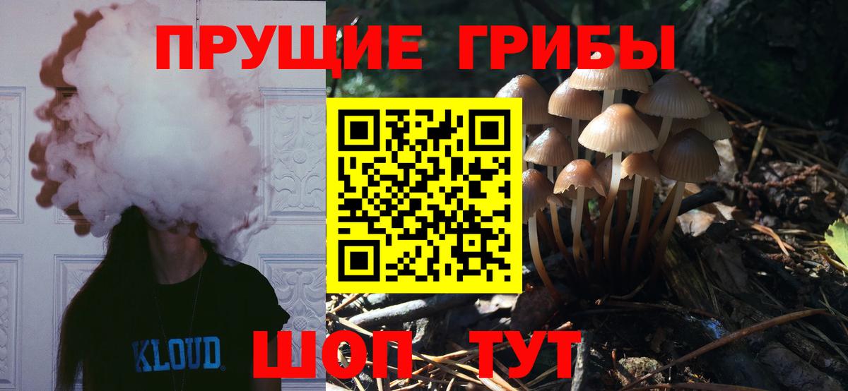 Псилоцибиновые грибы ЛСД  Вход с VPN  Кропоткин  Галлюциногенные грибы прущие грибы 